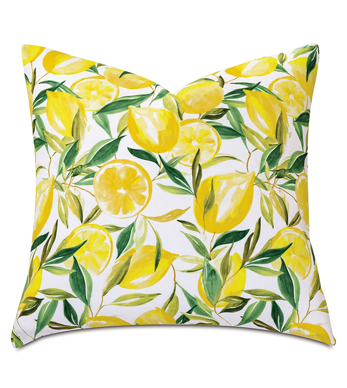  22X22 MEYER LEMONS DECORATIVE PILLOW