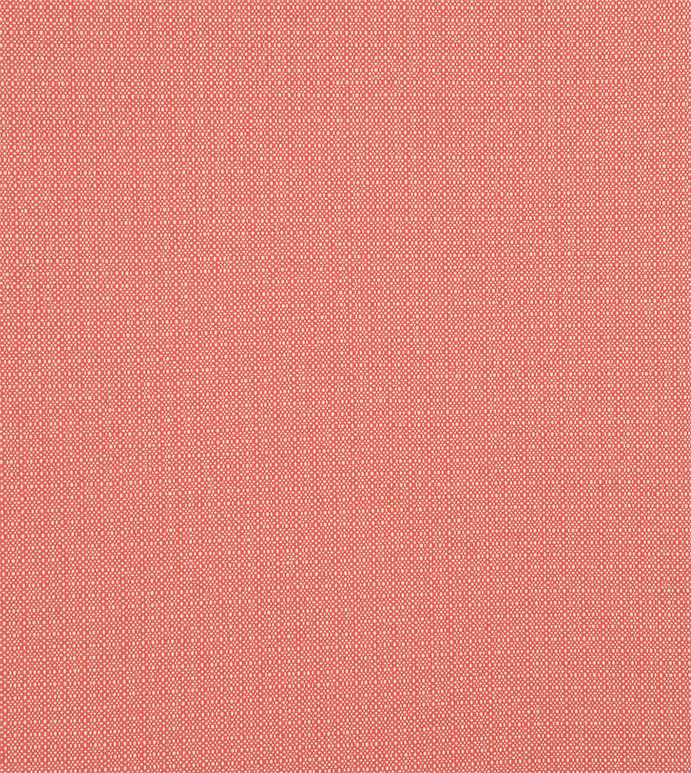ɣ 54