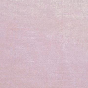 Velvet 54