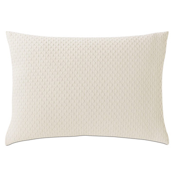 ̩ 20X27 TEGAN STANDARD SHAM