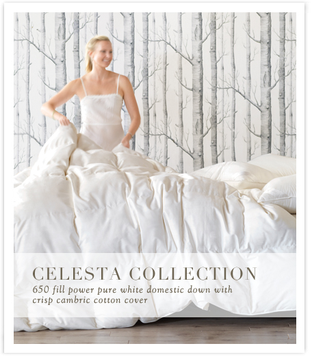 Celesta Collection