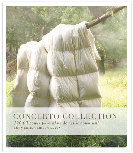 Concerto Collection