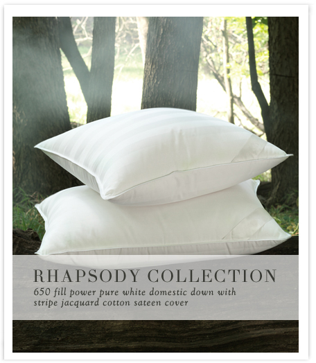 Rhapsody Collection